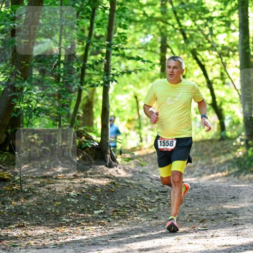 28.09.2025 - 33. Volkslauf durch das schöne Alstertal Dr. Thomas Lammeyer http://msf.ph/oto/8964966 28.09.2025 11:25:05 Laufen 1558 meine-sportfotos.de