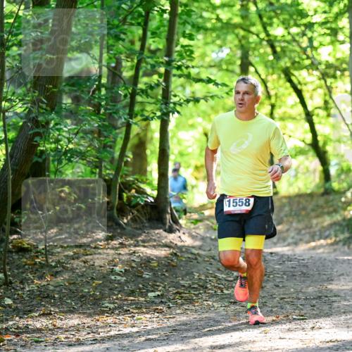 28.09.2025 - 33. Volkslauf durch das schöne Alstertal Dr. Thomas Lammeyer http://msf.ph/oto/8964967 28.09.2025 11:25:05 Laufen 1558 meine-sportfotos.de