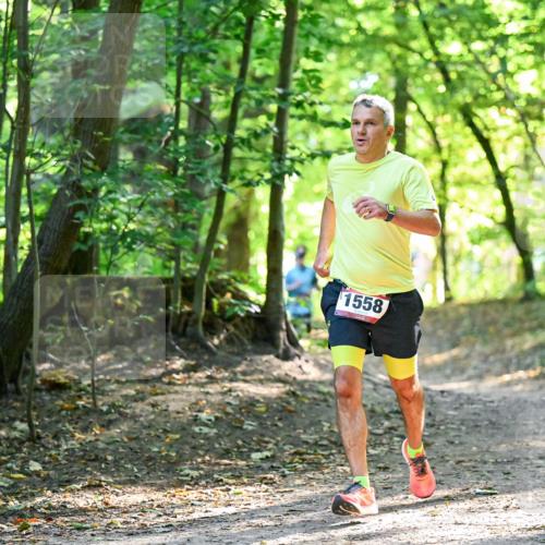 28.09.2025 - 33. Volkslauf durch das schöne Alstertal Dr. Thomas Lammeyer http://msf.ph/oto/8964968 28.09.2025 11:25:05 Laufen 1558 meine-sportfotos.de