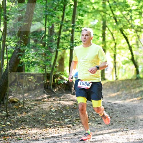 28.09.2025 - 33. Volkslauf durch das schöne Alstertal Dr. Thomas Lammeyer http://msf.ph/oto/8964969 28.09.2025 11:25:05 Laufen 1558 meine-sportfotos.de