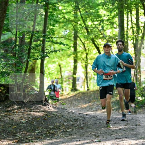 28.09.2025 - 33. Volkslauf durch das schöne Alstertal Dr. Thomas Lammeyer http://msf.ph/oto/8964979 28.09.2025 11:25:12 Laufen 1575 meine-sportfotos.de