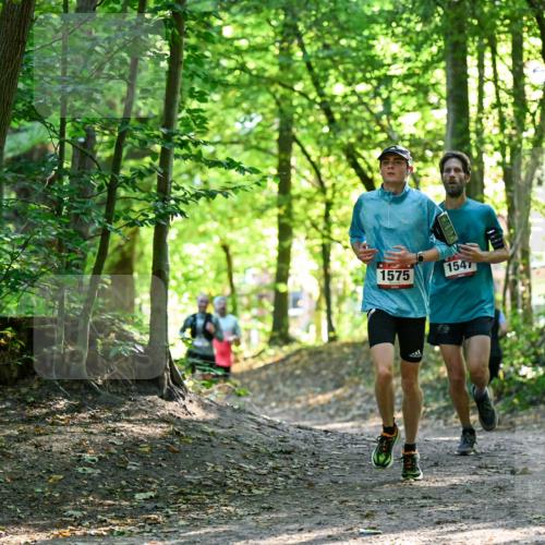 28.09.2025 - 33. Volkslauf durch das schöne Alstertal Dr. Thomas Lammeyer http://msf.ph/oto/8964980 28.09.2025 11:25:12 Laufen 1575, 1547 meine-sportfotos.de