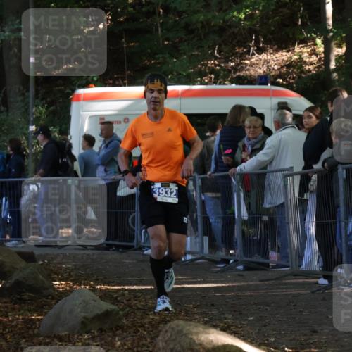 28.09.2025 - 33. Volkslauf durch das schöne Alstertal Strokosch-Dieckow http://msf.ph/oto/8964981 28.09.2025 11:16:37 Ziel 3932 meine-sportfotos.de