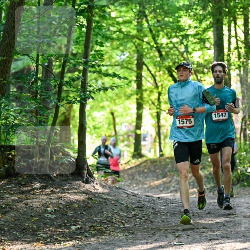 28.09.2025 - 33. Volkslauf durch das schöne Alstertal Dr. Thomas Lammeyer http://msf.ph/oto/8964982 28.09.2025 11:25:12 Laufen 1547, 1575 meine-sportfotos.de