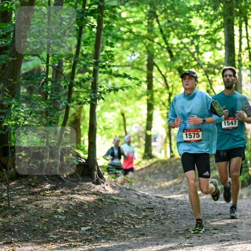 28.09.2025 - 33. Volkslauf durch das schöne Alstertal Dr. Thomas Lammeyer http://msf.ph/oto/8964983 28.09.2025 11:25:12 Laufen 1547, 1575 meine-sportfotos.de