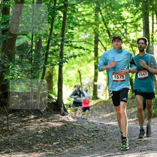 28.09.2025 - 33. Volkslauf durch das schöne Alstertal Dr. Thomas Lammeyer http://msf.ph/oto/8964984 28.09.2025 11:25:12 Laufen 1575, 1547 meine-sportfotos.de