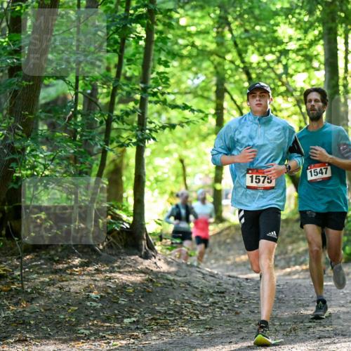 28.09.2025 - 33. Volkslauf durch das schöne Alstertal Dr. Thomas Lammeyer http://msf.ph/oto/8964985 28.09.2025 11:25:12 Laufen 1575, 1547 meine-sportfotos.de