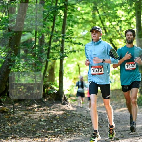 28.09.2025 - 33. Volkslauf durch das schöne Alstertal Dr. Thomas Lammeyer http://msf.ph/oto/8964988 28.09.2025 11:25:13 Laufen 1575, 1547 meine-sportfotos.de