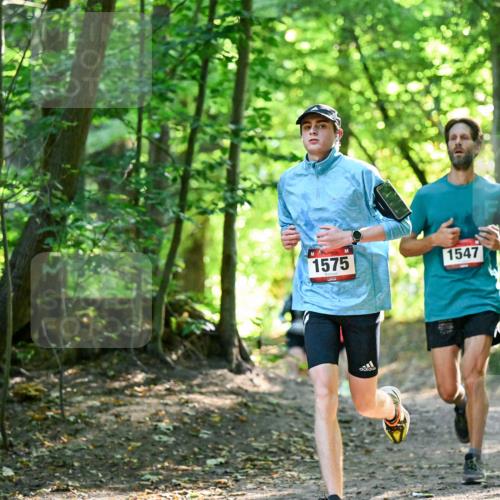 28.09.2025 - 33. Volkslauf durch das schöne Alstertal Dr. Thomas Lammeyer http://msf.ph/oto/8964989 28.09.2025 11:25:13 Laufen 1575, 1547 meine-sportfotos.de