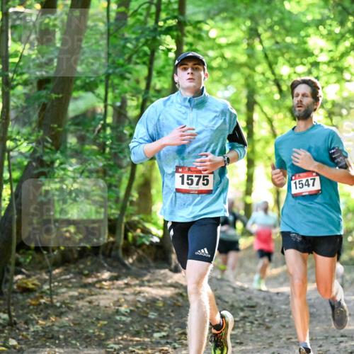 28.09.2025 - 33. Volkslauf durch das schöne Alstertal Dr. Thomas Lammeyer http://msf.ph/oto/8964990 28.09.2025 11:25:13 Laufen 1575, 1547 meine-sportfotos.de