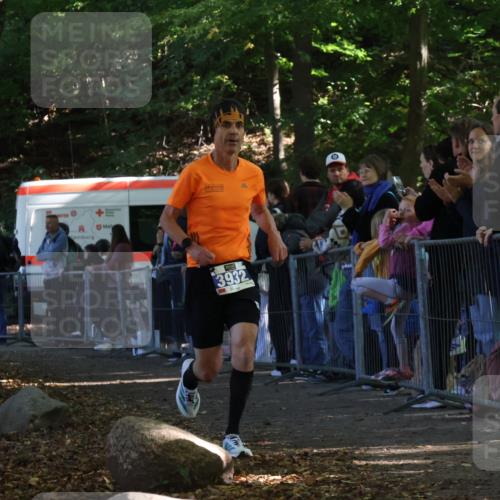 28.09.2025 - 33. Volkslauf durch das schöne Alstertal Strokosch-Dieckow http://msf.ph/oto/8964991 28.09.2025 11:16:39 Ziel 3932 meine-sportfotos.de