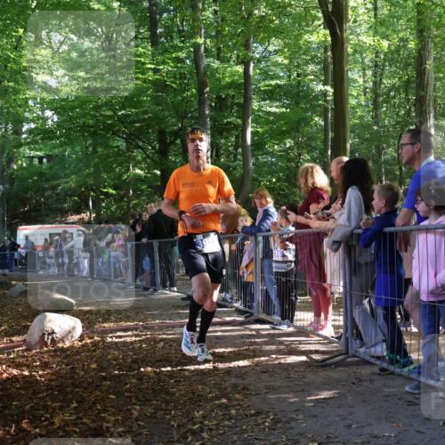 28.09.2025 - 33. Volkslauf durch das schöne Alstertal Strokosch-Dieckow http://msf.ph/oto/8965009 28.09.2025 11:16:41 Ziel 3932 meine-sportfotos.de