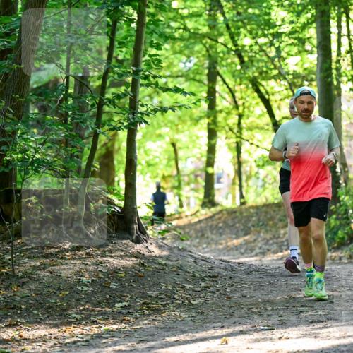 28.09.2025 - 33. Volkslauf durch das schöne Alstertal Dr. Thomas Lammeyer http://msf.ph/oto/8965020 28.09.2025 11:25:19 Laufen  meine-sportfotos.de