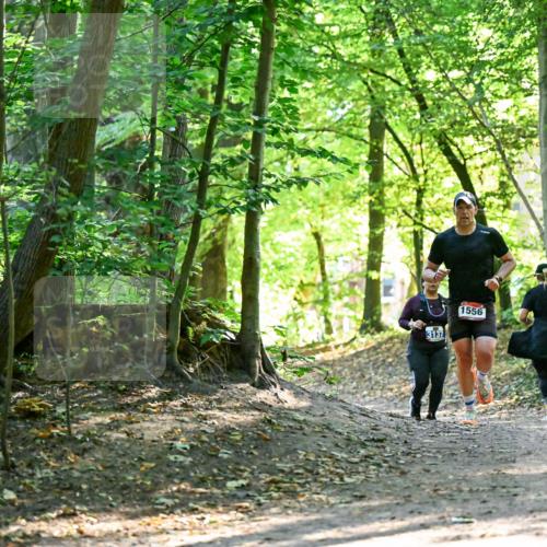 28.09.2025 - 33. Volkslauf durch das schöne Alstertal Dr. Thomas Lammeyer http://msf.ph/oto/8965037 28.09.2025 11:25:29 Laufen 1556, 3137 meine-sportfotos.de