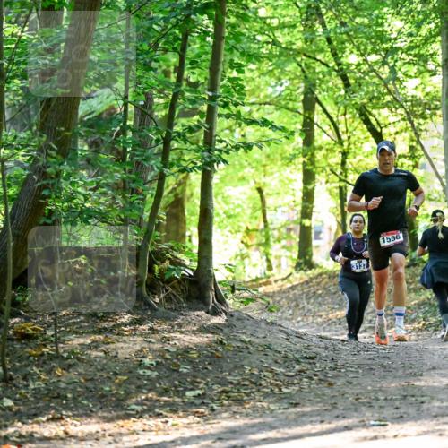 28.09.2025 - 33. Volkslauf durch das schöne Alstertal Dr. Thomas Lammeyer http://msf.ph/oto/8965038 28.09.2025 11:25:30 Laufen 3137, 1556 meine-sportfotos.de