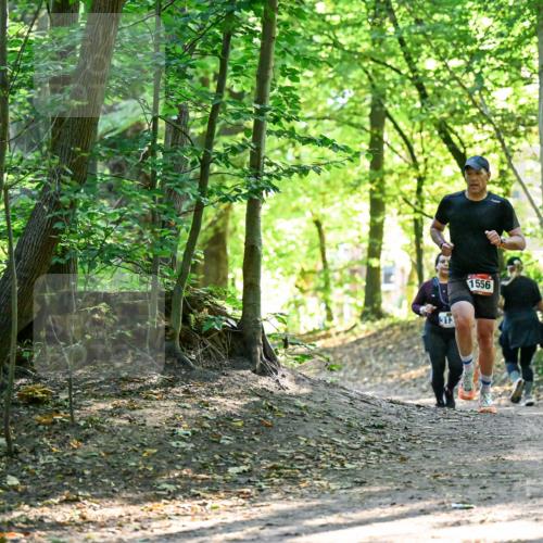 28.09.2025 - 33. Volkslauf durch das schöne Alstertal Dr. Thomas Lammeyer http://msf.ph/oto/8965040 28.09.2025 11:25:30 Laufen 313, 1556 meine-sportfotos.de