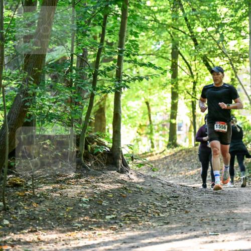 28.09.2025 - 33. Volkslauf durch das schöne Alstertal Dr. Thomas Lammeyer http://msf.ph/oto/8965041 28.09.2025 11:25:30 Laufen 1556 meine-sportfotos.de