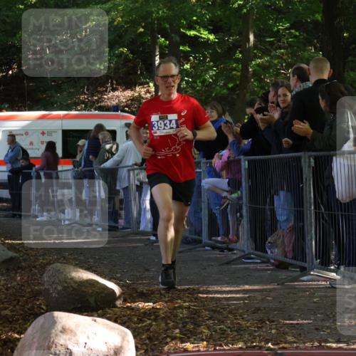 28.09.2025 - 33. Volkslauf durch das schöne Alstertal Strokosch-Dieckow http://msf.ph/oto/8965042 28.09.2025 11:16:52 Ziel 3934 meine-sportfotos.de