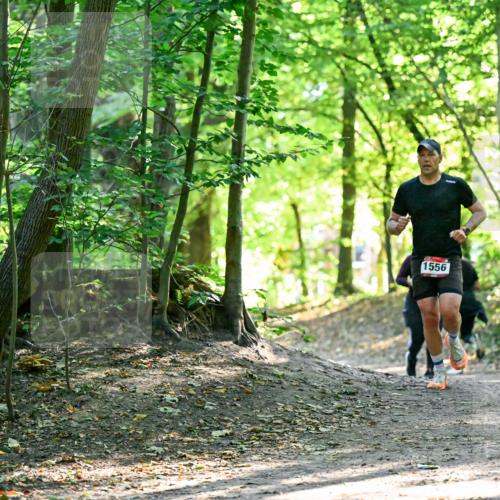 28.09.2025 - 33. Volkslauf durch das schöne Alstertal Dr. Thomas Lammeyer http://msf.ph/oto/8965043 28.09.2025 11:25:30 Laufen 1556 meine-sportfotos.de