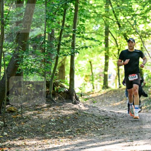 28.09.2025 - 33. Volkslauf durch das schöne Alstertal Dr. Thomas Lammeyer http://msf.ph/oto/8965044 28.09.2025 11:25:30 Laufen 1556 meine-sportfotos.de