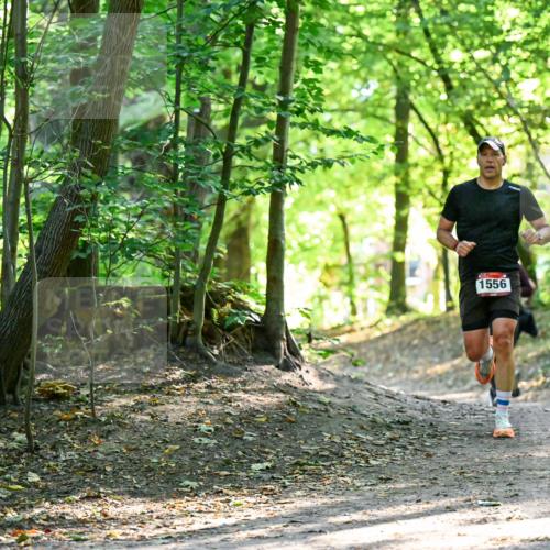 28.09.2025 - 33. Volkslauf durch das schöne Alstertal Dr. Thomas Lammeyer http://msf.ph/oto/8965045 28.09.2025 11:25:30 Laufen 1556 meine-sportfotos.de