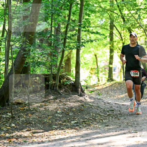 28.09.2025 - 33. Volkslauf durch das schöne Alstertal Dr. Thomas Lammeyer http://msf.ph/oto/8965046 28.09.2025 11:25:31 Laufen 1556 meine-sportfotos.de