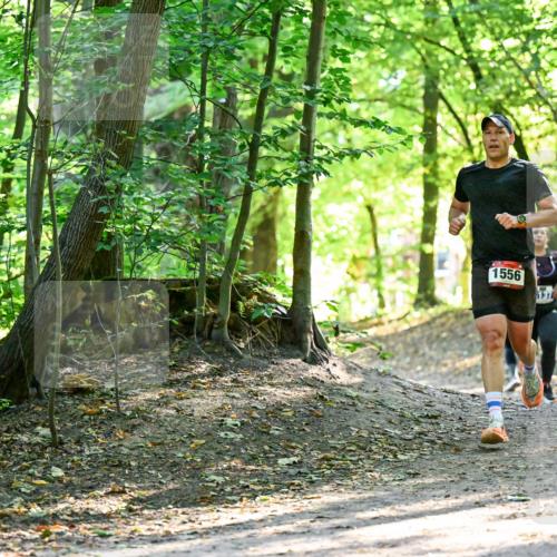28.09.2025 - 33. Volkslauf durch das schöne Alstertal Dr. Thomas Lammeyer http://msf.ph/oto/8965048 28.09.2025 11:25:31 Laufen 1556, 137 meine-sportfotos.de