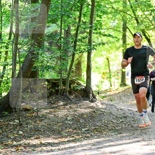 28.09.2025 - 33. Volkslauf durch das schöne Alstertal Dr. Thomas Lammeyer http://msf.ph/oto/8965049 28.09.2025 11:25:31 Laufen 1556, 3137 meine-sportfotos.de