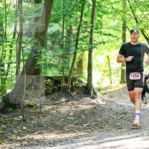 28.09.2025 - 33. Volkslauf durch das schöne Alstertal Dr. Thomas Lammeyer http://msf.ph/oto/8965050 28.09.2025 11:25:31 Laufen 1556 meine-sportfotos.de