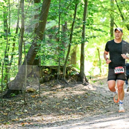 28.09.2025 - 33. Volkslauf durch das schöne Alstertal Dr. Thomas Lammeyer http://msf.ph/oto/8965051 28.09.2025 11:25:31 Laufen 1556, 3137 meine-sportfotos.de