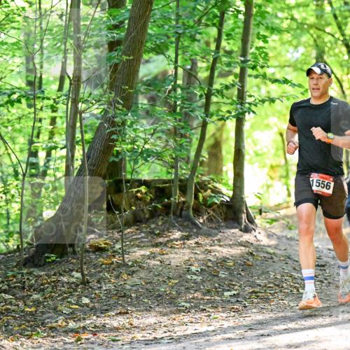 28.09.2025 - 33. Volkslauf durch das schöne Alstertal Dr. Thomas Lammeyer http://msf.ph/oto/8965052 28.09.2025 11:25:31 Laufen 1556 meine-sportfotos.de