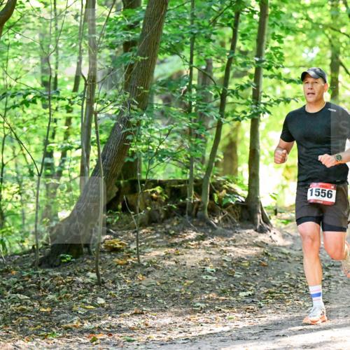 28.09.2025 - 33. Volkslauf durch das schöne Alstertal Dr. Thomas Lammeyer http://msf.ph/oto/8965053 28.09.2025 11:25:31 Laufen 131, 1556 meine-sportfotos.de