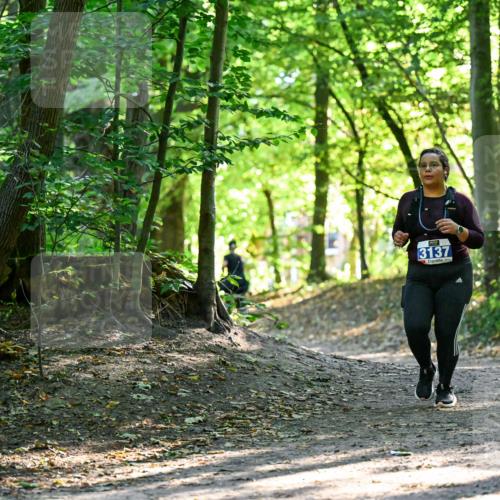28.09.2025 - 33. Volkslauf durch das schöne Alstertal Dr. Thomas Lammeyer http://msf.ph/oto/8965057 28.09.2025 11:25:35 Laufen 3137 meine-sportfotos.de
