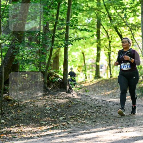 28.09.2025 - 33. Volkslauf durch das schöne Alstertal Dr. Thomas Lammeyer http://msf.ph/oto/8965058 28.09.2025 11:25:35 Laufen 3137 meine-sportfotos.de