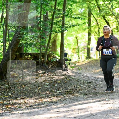 28.09.2025 - 33. Volkslauf durch das schöne Alstertal Dr. Thomas Lammeyer http://msf.ph/oto/8965060 28.09.2025 11:25:35 Laufen 3137 meine-sportfotos.de