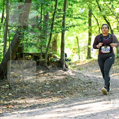 28.09.2025 - 33. Volkslauf durch das schöne Alstertal Dr. Thomas Lammeyer http://msf.ph/oto/8965062 28.09.2025 11:25:35 Laufen 3137 meine-sportfotos.de