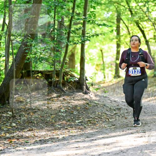 28.09.2025 - 33. Volkslauf durch das schöne Alstertal Dr. Thomas Lammeyer http://msf.ph/oto/8965063 28.09.2025 11:25:35 Laufen 3137 meine-sportfotos.de