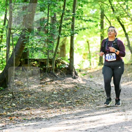 28.09.2025 - 33. Volkslauf durch das schöne Alstertal Dr. Thomas Lammeyer http://msf.ph/oto/8965064 28.09.2025 11:25:36 Laufen 3137 meine-sportfotos.de