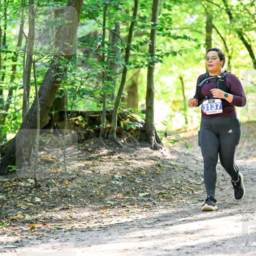 28.09.2025 - 33. Volkslauf durch das schöne Alstertal Dr. Thomas Lammeyer http://msf.ph/oto/8965065 28.09.2025 11:25:36 Laufen 3137 meine-sportfotos.de