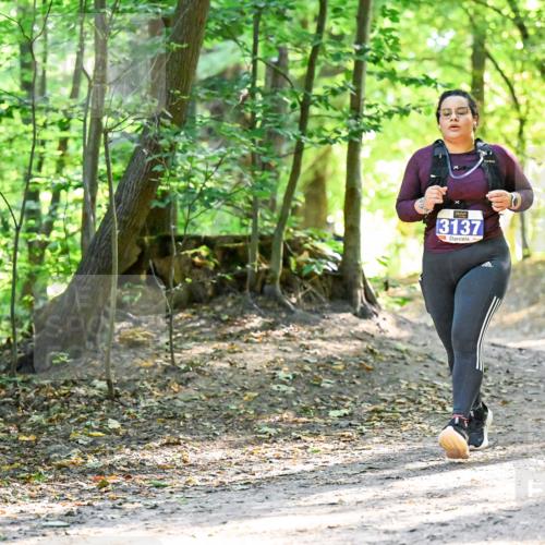 28.09.2025 - 33. Volkslauf durch das schöne Alstertal Dr. Thomas Lammeyer http://msf.ph/oto/8965067 28.09.2025 11:25:36 Laufen 3137 meine-sportfotos.de