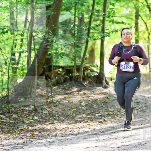 28.09.2025 - 33. Volkslauf durch das schöne Alstertal Dr. Thomas Lammeyer http://msf.ph/oto/8965068 28.09.2025 11:25:36 Laufen 3137 meine-sportfotos.de