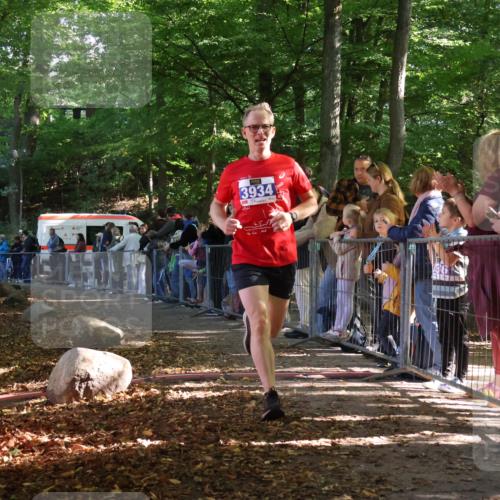 28.09.2025 - 33. Volkslauf durch das schöne Alstertal Strokosch-Dieckow http://msf.ph/oto/8965070 28.09.2025 11:16:54 Ziel 3934 meine-sportfotos.de