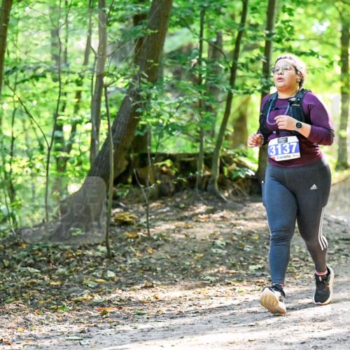 28.09.2025 - 33. Volkslauf durch das schöne Alstertal Dr. Thomas Lammeyer http://msf.ph/oto/8965071 28.09.2025 11:25:36 Laufen 3137 meine-sportfotos.de
