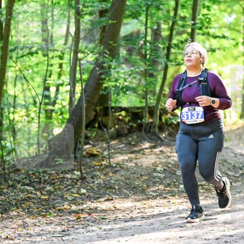28.09.2025 - 33. Volkslauf durch das schöne Alstertal Dr. Thomas Lammeyer http://msf.ph/oto/8965072 28.09.2025 11:25:37 Laufen 3137 meine-sportfotos.de