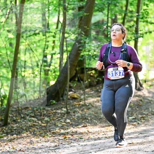 28.09.2025 - 33. Volkslauf durch das schöne Alstertal Dr. Thomas Lammeyer http://msf.ph/oto/8965075 28.09.2025 11:25:37 Laufen 3137 meine-sportfotos.de