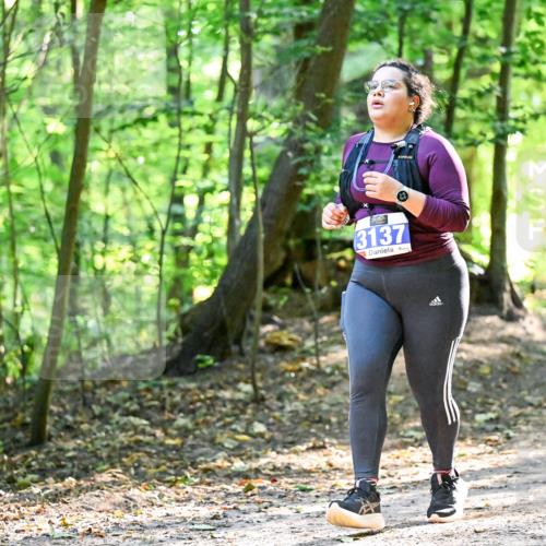 28.09.2025 - 33. Volkslauf durch das schöne Alstertal Dr. Thomas Lammeyer http://msf.ph/oto/8965076 28.09.2025 11:25:37 Laufen 3137 meine-sportfotos.de