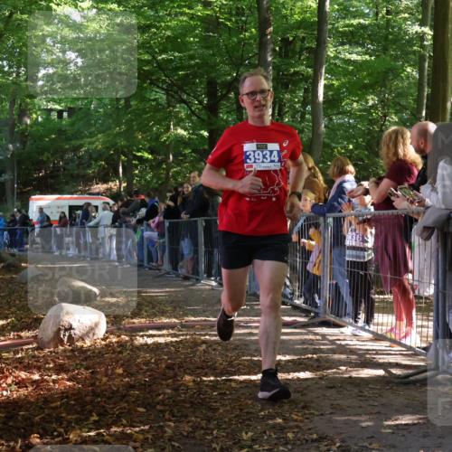 28.09.2025 - 33. Volkslauf durch das schöne Alstertal Strokosch-Dieckow http://msf.ph/oto/8965077 28.09.2025 11:16:54 Ziel 3934 meine-sportfotos.de