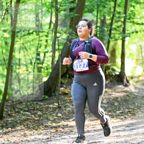 28.09.2025 - 33. Volkslauf durch das schöne Alstertal Dr. Thomas Lammeyer http://msf.ph/oto/8965078 28.09.2025 11:25:37 Laufen 3137 meine-sportfotos.de
