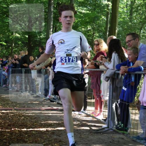 28.09.2025 - 33. Volkslauf durch das schöne Alstertal Strokosch-Dieckow http://msf.ph/oto/8965083 28.09.2025 11:17:33 Ziel 3179 meine-sportfotos.de