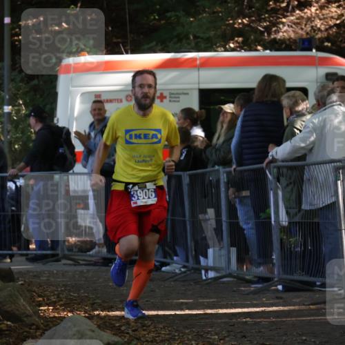 28.09.2025 - 33. Volkslauf durch das schöne Alstertal Strokosch-Dieckow http://msf.ph/oto/8965112 28.09.2025 11:17:57 Ziel 3906 meine-sportfotos.de
